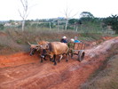 Wanderung in Vinales