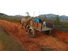 Wanderung in Vinales