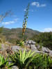 Gran Parque Natural Topes de Collantes