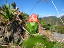 Gran Parque Natural Topes de Collantes