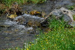 Wanderung in der Geierschlucht